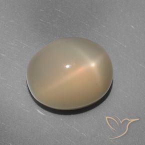Pierre de lune étoilée Orange moyen-léger naturelle ovale, 7.02 ct, Translucide