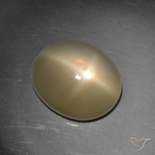 5.65ct Naturel Orange moyen-foncé Pierre de lune étoilée, ovale, Translucide