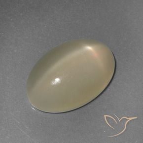 Pierre de lune étoilée Jaune clair naturelle ovale, 6.72 ct, Translucide
