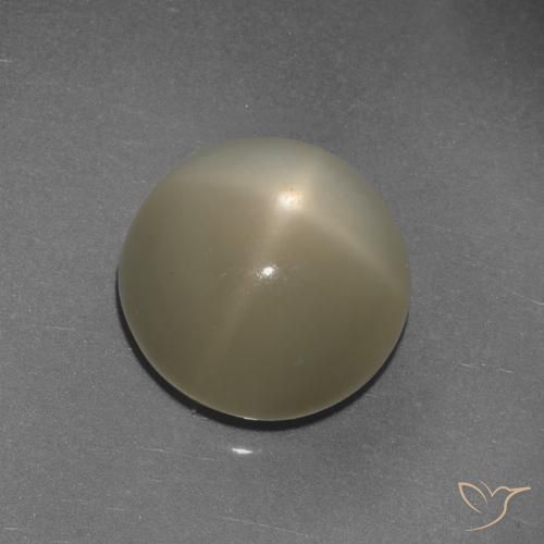 9.72ct Naturel Brun café léger Pierre de lune étoilée, Tour, Translucide