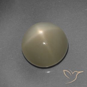 Pierre de lune étoilée Brun café léger naturelle Tour, 9.72 ct, Translucide