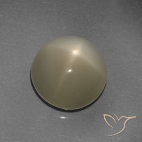 Pierre de lune étoilée Brun café léger naturelle Tour, 9.72 ct, Translucide
