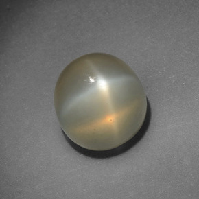 Pierre de lune étoilée crème naturelle coupe roude, 4,15 ct, translucide
