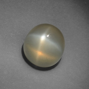 Pierre de lune étoilée crème naturelle coupe roude, 4,15 ct, translucide