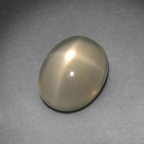Pierre de lune étoilée crème naturelle coupe ovale, 2,72 ct, translucide