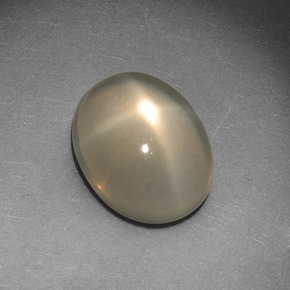 Pierre de lune étoilée crème naturelle coupe ovale, 2,72 ct, translucide