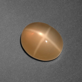 Pierre de lune étoilée orange naturelle coupe ovale, 3,01 ct, translucide