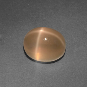 Pierre de lune étoilée crème naturelle coupe ovale, 3,33 ct, translucide