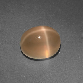 Pierre de lune étoilée crème naturelle coupe ovale, 3,33 ct, translucide