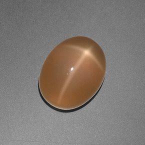 Pierre de lune étoilée orange naturelle coupe ovale, 3,05 ct, translucide