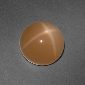 Pierre de lune étoilée orange naturelle coupe roude, 3,65 ct, translucide