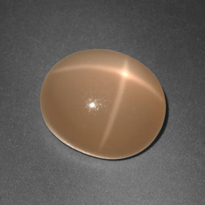 Pierre de lune étoilée orange naturelle coupe ovale, 5,77 ct, translucide