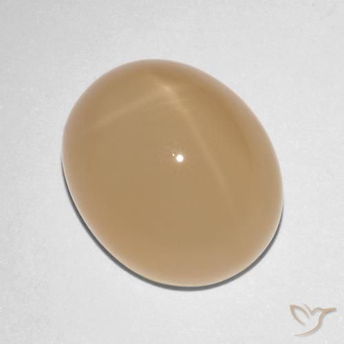 Pierre de lune étoilée Orange cantaloup naturelle ovale, 7.88 ct, Translucide