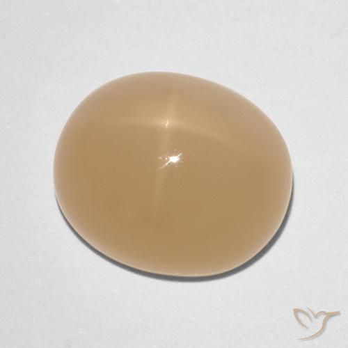 Pierre de lune étoilée Orange cantaloup naturelle ovale, 7.88 ct, Translucide