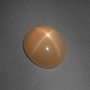 Pierre de lune étoilée orange naturelle coupe ovale, 4,81 ct, translucide