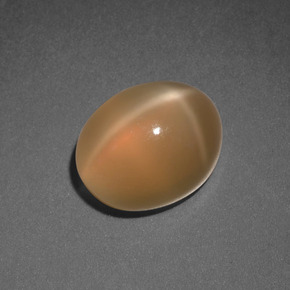 Pierre de lune étoilée orange naturelle coupe ovale, 3,69 ct, translucide