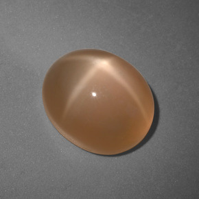 Pierre de lune étoilée orange naturelle coupe ovale, 6,04 ct, translucide