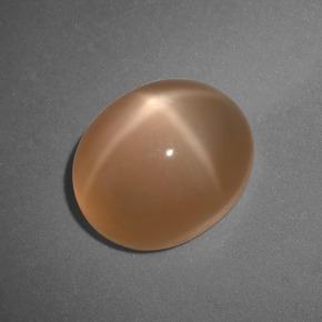 Pierre de lune étoilée orange naturelle coupe ovale, 6,04 ct, translucide