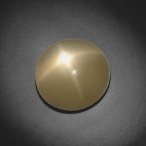 Pierre de lune étoilée Crème naturelle Coupe roude, 5.20 ct, Translucide