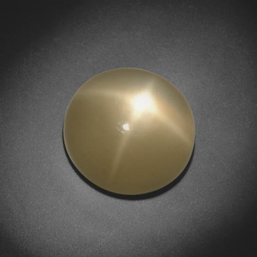 Pierre de lune étoilée Crème naturelle Coupe roude, 5.20 ct, Translucide