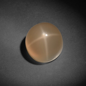 Pierre de lune étoilée crème naturelle coupe roude, 7,13 ct, translucide