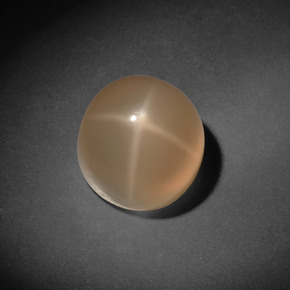 Pierre de lune étoilée crème naturelle coupe roude, 7,13 ct, translucide