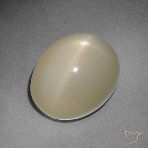Pierre de lune étoilée jaune naturelle coupe ovale, 12,22 ct, translucide