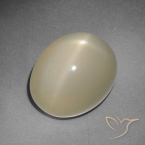 Pierre de lune étoilée jaune naturelle coupe ovale, 12,22 ct, translucide