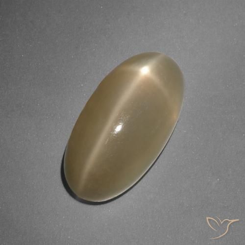 7.96ct Naturel Orange moyen-foncé Pierre de lune étoilée, ovale, Translucide