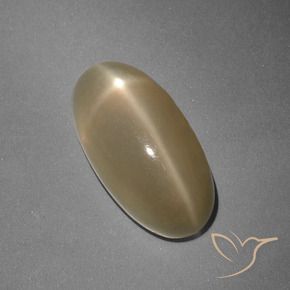 Pierre de lune étoilée Orange moyen-foncé naturelle ovale, 7.96 ct, Translucide