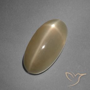 Pierre de lune étoilée Orange moyen-foncé naturelle ovale, 7.96 ct, Translucide