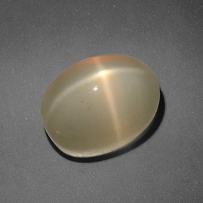 Pierre de lune étoilée orange naturelle coupe ovale, 7,31 ct, translucide