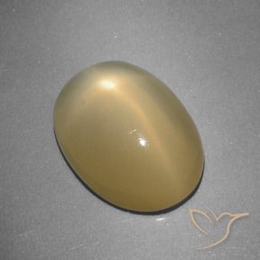 Pierre de lune étoilée Jaune Dijon naturelle ovale, 5.16 ct, Translucide