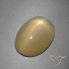 Pierre de lune étoilée Jaune Dijon naturelle ovale, 5.16 ct, Translucide
