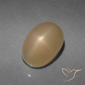 Pierre de lune étoilée Or naturelle Coupe ovale, 5.21 ct, Translucide