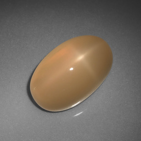 Pierre de lune étoilée orange naturelle coupe ovale, 6,85 ct, translucide