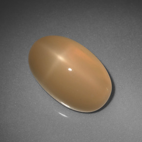 Pierre de lune étoilée orange naturelle coupe ovale, 6,85 ct, translucide