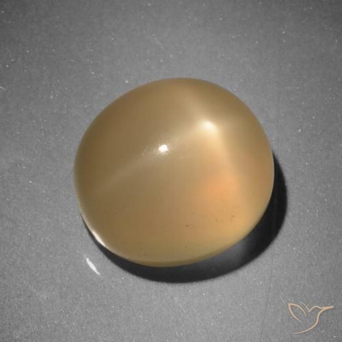 6.73ct Naturel Orange moyen Pierre de lune étoilée, ovale, Translucide