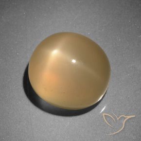 Pierre de lune étoilée Orange moyen naturelle ovale, 6.73 ct, Translucide