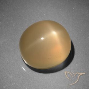 Pierre de lune étoilée Orange moyen naturelle ovale, 6.73 ct, Translucide