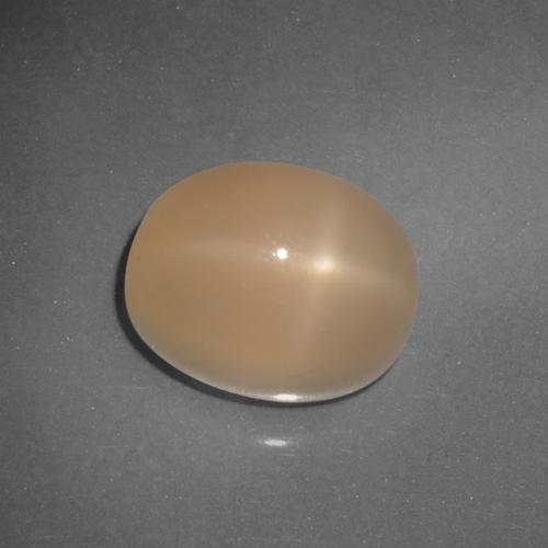 Pierre de lune étoilée Orange moyen naturelle Coupe ovale, 6.21 ct, Translucide