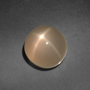 Pierre de lune étoilée crème naturelle coupe roude, 4,98 ct, translucide
