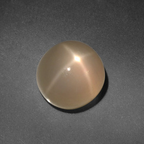 Pierre de lune étoilée crème naturelle coupe roude, 4,98 ct, translucide