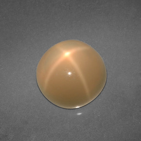 Pierre de lune étoilée crème naturelle coupe roude, 4,57 ct, translucide