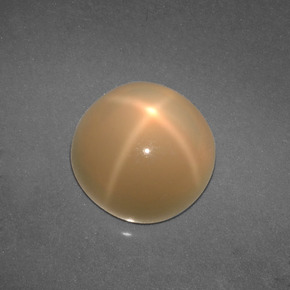 Pierre de lune étoilée crème naturelle coupe roude, 4,57 ct, translucide