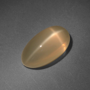 Pierre de lune étoilée crème naturelle coupe ovale, 4,71 ct, translucide