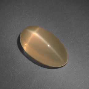 Pierre de lune étoilée crème naturelle coupe ovale, 4,71 ct, translucide