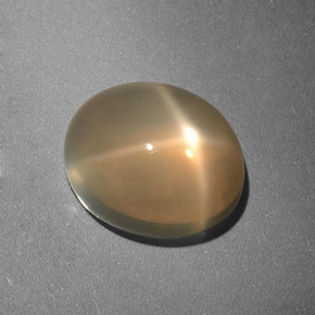 Pierre de lune étoilée crème naturelle coupe ovale, 3,49 ct, translucide