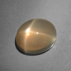 Pierre de lune étoilée crème naturelle coupe ovale, 3,49 ct, translucide