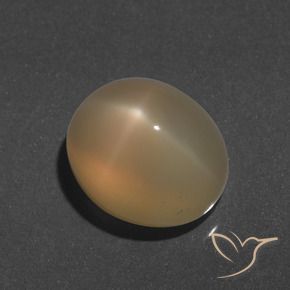 Pierre de lune étoilée Doré pêche léger naturelle ovale, 9.66 ct, Translucide
